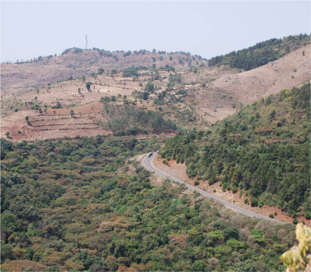 エチオピア 北西部教会の森の画像